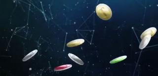 Secretul criptomonedelor: Ce se află în spatele lor