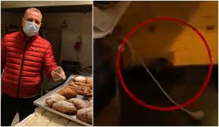 "Vai! Aoleu!". Șobolan filmat printre rafturi, într-o patiserie din București