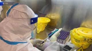 OMS avertizează că restricțiile de călătorie, decretate de unele ţări, nu pot împiedica răspândirea Omicron