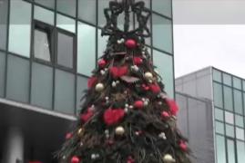 Brad de Crăciun special la Arad. Pe un cadru metalic au fost prinse sute de crenguţe de brad: investiţia s-a ridicat la 8.000 de euro