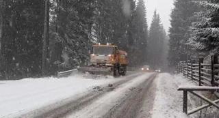 A venit iarna. În București a căzut prima ninsoare, iar la munte stratul de zăpadă atinge deja 30 de centimetri
