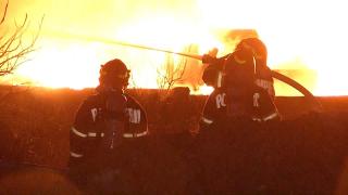 Imagini dramatice din timpul incendiului din Popești-Leordeni. Oamenii din zonă au fost treziți din somn de autorități