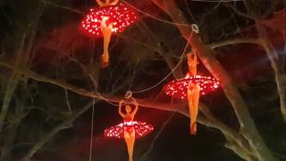 Scandal uriaş la Constanţa din cauza "balerinelor sexy". Figurinile agăţate în copaci au stârnit furia părinţilor