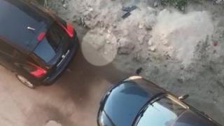 Trăiesc sub teroarea şobolanilor într-un cartier nou, la marginea Capitalei. "Sunt uriaşi, rod firele de la motorul maşinii, nu mai ieşim din case”