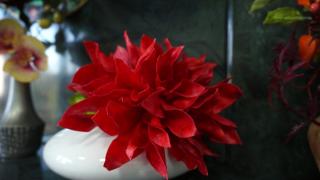 Florile din pastă de zahăr, un cadou dulce pentru cei dragi, de Crăciun. O fostă profesoară din Bistriţa ne învaţă arta modelatului