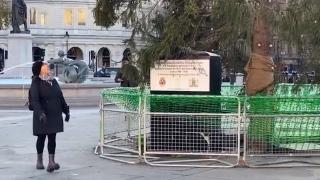 Scandal între Marea Britanie şi Norvegia din cauza unui brad. Pomul din Piața Trafalgar a stârnit comentarii acide din partea englezilor