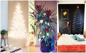 Cum alegem bradul, decoraţiunile sau cadourile de Crăciun. Idei sustenabile pentru sărbători fără risipă