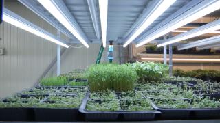 Afacerea unor români rămaşi fără loc de muncă. Le-a adus succes dupa ce au lucrat 17 ani în HORECA