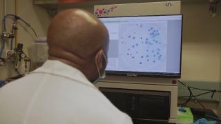 Varianta Omicron pune stăpânire pe întreaga lume. Tot mai multe evenimente, anulate în prag de sărbători