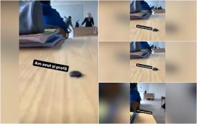 "Am avut şi profă". Un clip cu o profesoară din Buzău căzând de pe un scaun rupt, pus intenţionat de elevi, viral pe TikTok