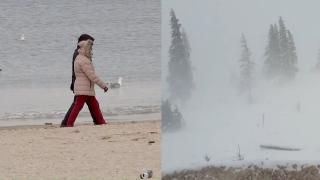 Haos pe şosele din cauza ninsorii. Şoferii dau testul răbdării pe drumurile transformate în pationar