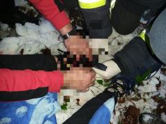 "Mă doare!". Adolescent de 15 ani, la un pas de moarte în Buşteni. A căzut într-o râpă, de la 10 metri înălţime