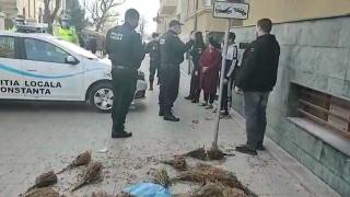 Un bărbat care vindea busuioc la un colţ de stradă în Constanța, amendat de poliție. Revoltați, trecătorii au strâns bani să îi achite amenda