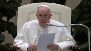 Reacții după declarația Papei despre tendinţa egoistă a oamenilor de a adopta animale în timp ce milioane de copii orfani au nevoie de o familie