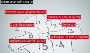 Unde putem arunca brazii de Crăciun? În Capitală, pomii au fost abandonați la colțurile blocurilor