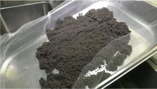 Caviarul românesc, la mare căutare peste hotare. Preţul este însă unul pe măsură: 1.000 de euro pe kilogram