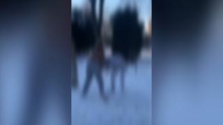 Bătaie între două eleve de clasa a VII-a, într-un parc de lângă şcoală, în Satu Mare. Colegii amuzaţi au filmat întreaga scenă