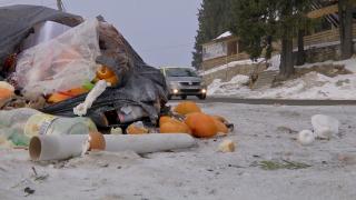 De ce nu există coșuri de gunoi la Rânca, una dintre cele mai populare stațiuni montane din România? Autoritățile cred că atrag animalele sălbatice