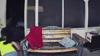 Un bărbat a devenit erou pentru câinele său, după ce a pus un urs pe fugă în Florida