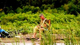 EXCLUSIV. Cum a ajuns România să importe pescari şi 85% din peştele pe care-l consumăm, deşi am fost a treia putere a lumii la pescuit