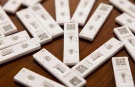 Primele teste de salivă au ajuns în şcoli după două săptămâni de aşteptare. Nu şi în Bucureşti: distribuţia a fost greoaie