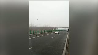 Manevră riscantă în apropiere de vama Nădlac. O şoferiţă a fost surprinsă conducând pe contrasens