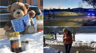 Dubla crimă care a şocat Austria: o româncă a lovit mortal cu maşină o mamă şi pe fiul ei de 5 ani. Cele două femei ar fi iubit acelaşi bărbat