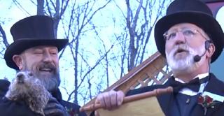 Cârtiţa Phil, cel mai popular ''meteorolog'' din lume, a prezis încă şase săptămâni de iarnă în SUA