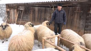 Povestea lui nea Andrei, ambulanțierul care a ajuns să crească oi, în munți: "Trebuie să trăiesc cu picioarele pe pământ, nu pe beton"
