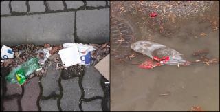 Timișorenii vor să facă o "hartă a ruşinii". O organizație civică îi invită pe oameni să trimită fotografii cu mizeria din oraş