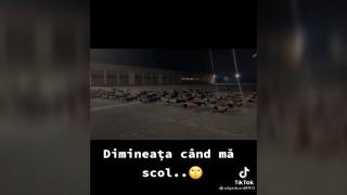 Înviorarea unor tineri de la şcoala de pompieri, virală pe reţelele de socializare: "Dimineaţa când mă scol, fac flotări la bustul gol"