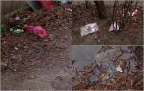 Garda de Mediu din Timişoara, la verificat străzile murdare de pe "harta ruşinii" după reportajul Observator