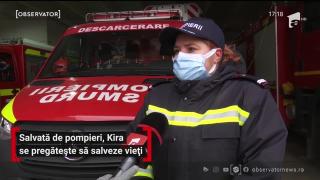 O căţeluşă salvată de pompierii români a devenit membru al echipei: se antrenează şi ajută la misiunile de căutare-salvare