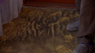 Nor de cenuşă peste o comună gorjeană. Oamenii au ajuns la limita răbdării: ''Rufele se înnegresc de praf''