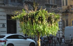 Colţ de Rai pe Calea Victoriei, unde a "răsărit" un arbore cu sute de lalele. Simbol al iubirii, de Valentine's Day