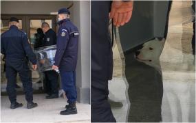 Jandarmii din Constanţa s-au speriat de un câine. Au stat cu scutul şi bâtele la uşa unui bloc