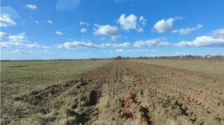 Seceta aduce un nou val de scumpiri. Fermierii avertizează că efectele se vor vedea curând: "Populaţia va fi afectată"