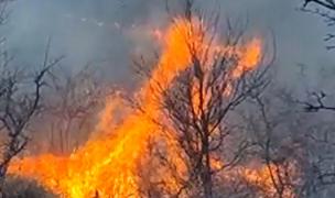 Sute de hectare de vegetaţie au ars precum o torţă, în Buzău. Pompierii s-au luptat ore bune ca flăcările să nu ajungă la case