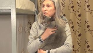 Mătuşă şi bunică din Ucraina, fugite din calea războiului, au luat motanul, câteva haine şi s-au refugiat în căminul nepoatei, studentă în Galaţi