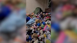 Bucuria unei fetițe de 3 ani, refugiată din Ucraina, care descoperă un munte de jucării de pluș