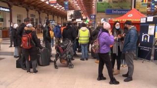 Autorităţile din România, măsuri de sprijin pentru refugiaţii ucrainieni: locuri de muncă disponibile