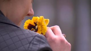 Sezonul alergiilor ar putea începe mai devreme. Care sunt simptomele şi ce avertizează medicii