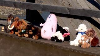 Podul care face legătură între Sighetu Marmației și localitatea ucraineană Solotvino, umplut în fiecare zi de jucării pentru cei mici