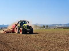 România a devenit, brusc, cel mai mare exportator de grâu din Europa. Ucraina nu-și mai poate onora contractele