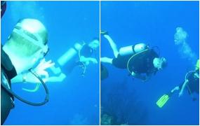 Ducii de Cambridge, printre rechini în Balize