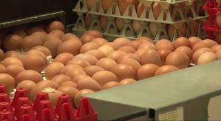 Românii plătesc mai mult şi pentru ouă. Şi e abia începutul. "Ce nu crește când e Paștele și Crăciunul la noi?" 