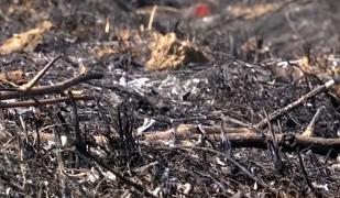 Peste 100 de incendii de vegetaţie uscată în Gorj, în ultimele 5 zile. Primarul e disperat. Îşi dă salariul recompensă în schimbul găsirii vinovaţilor