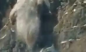 Avalanşă produsă pe traseul din Jepii Mici, filmată din telecabină. Avertismentul salvamontiștilor