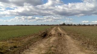 Seceta amenință culturile din zona Moldovei. Fermierii se gândesc cu groază cum hectare întregi pot fi compromise