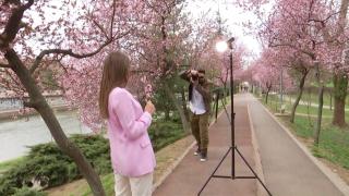 Au înflorit cireşii de pe malul râului Bega, un loc ideal pentru a surprinde spectacolul naturii într-o fotografie